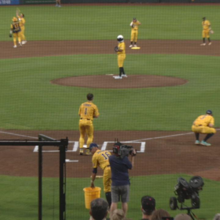 SAVANNAH BANANAS .jpeg